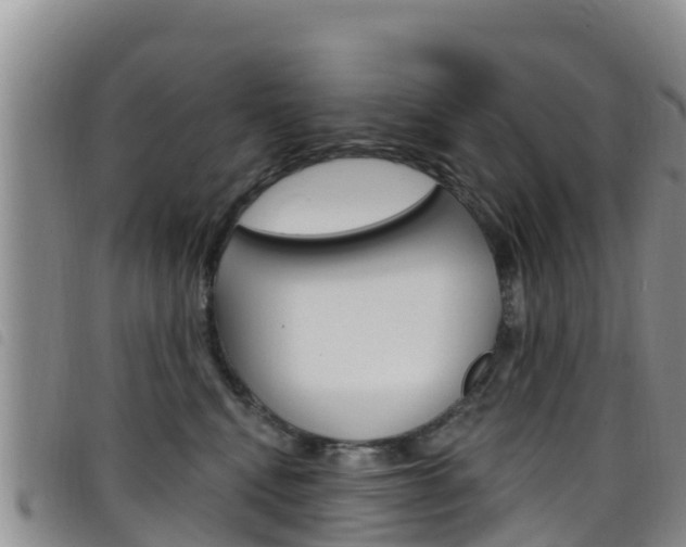 X0000098210472200804241106