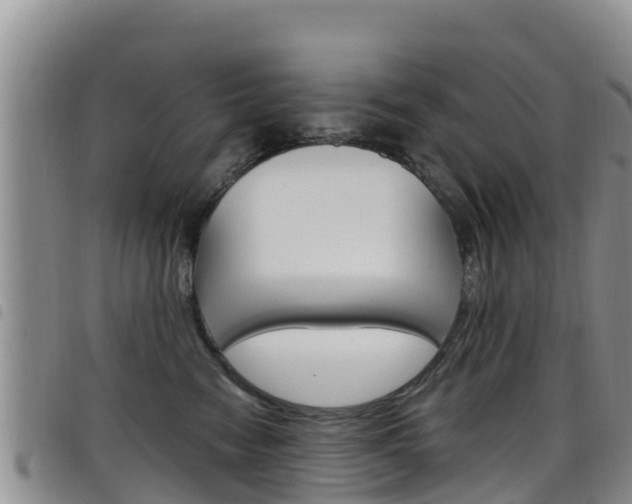 X0000098210474200804241106