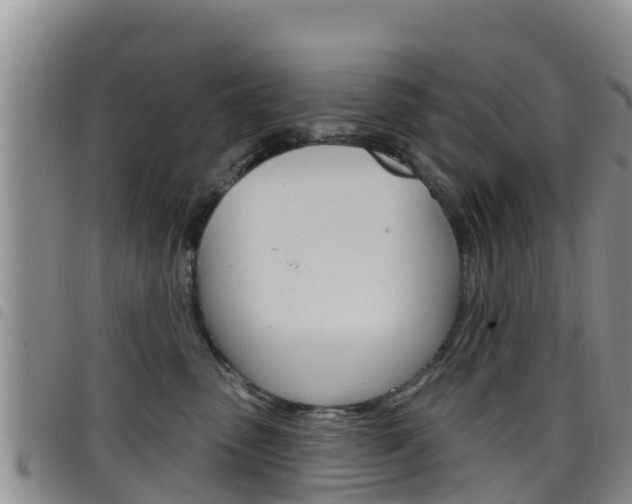 X0000098210475200804241106