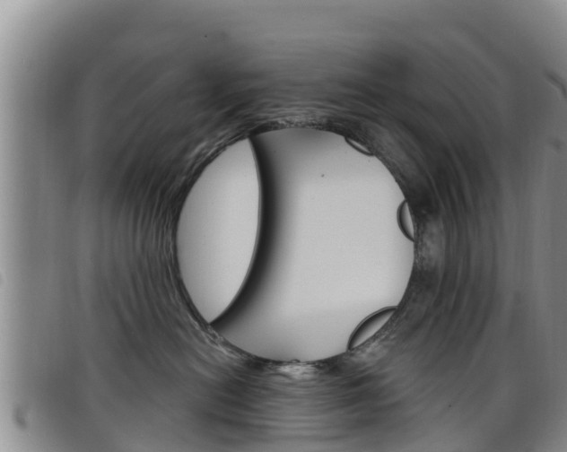 X0000098210478200804241106