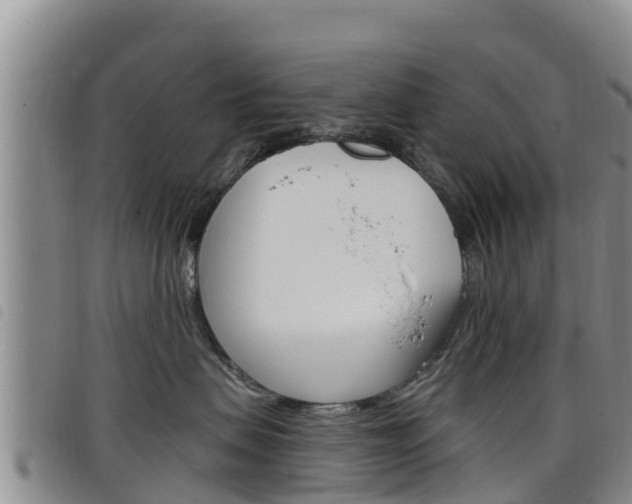 X0000098210479200804241106