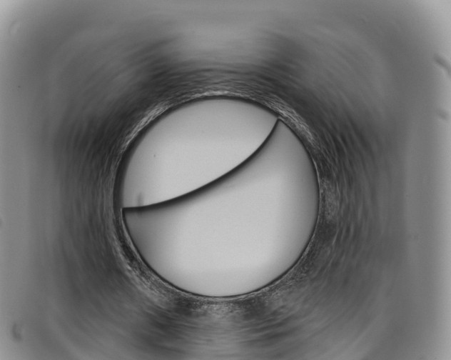 X0000098210482200804241105