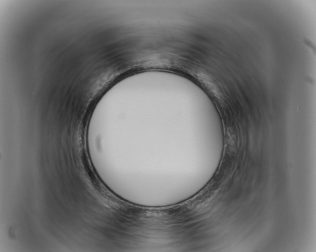 X0000098210487200804241105