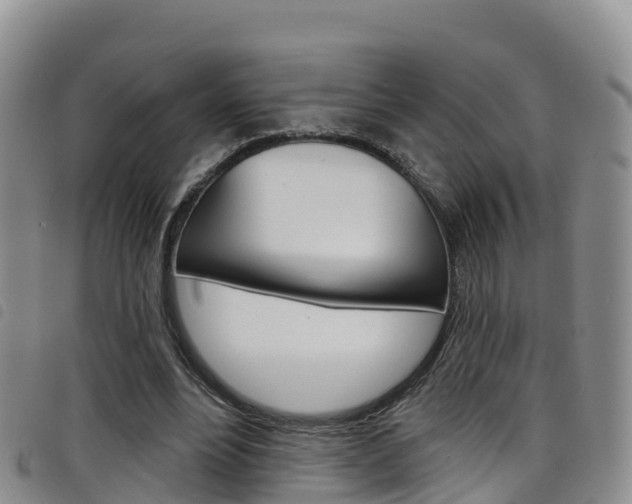 X0000098210488200804241105