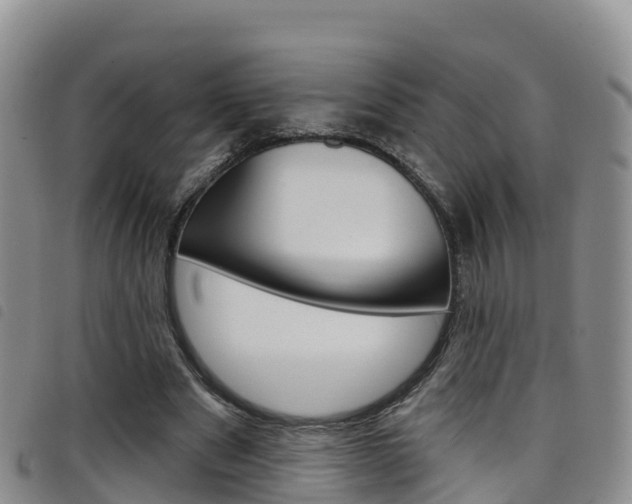 X0000098210489200804241105