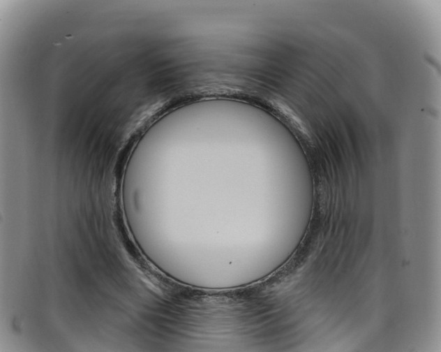 X0000098210490200804241105