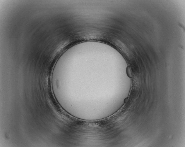 X0000098210491200804241105