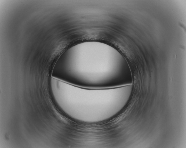 X0000098210493200804241105