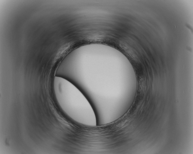 X0000098210494200804241105