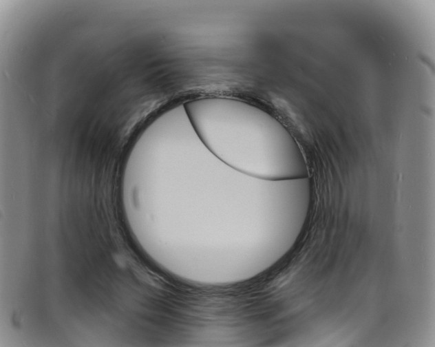 X0000098210495200804241105