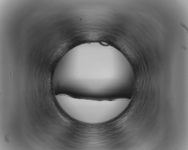 X0000098210497200804241105