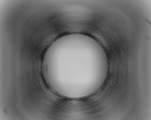 X0000098210498200804241105