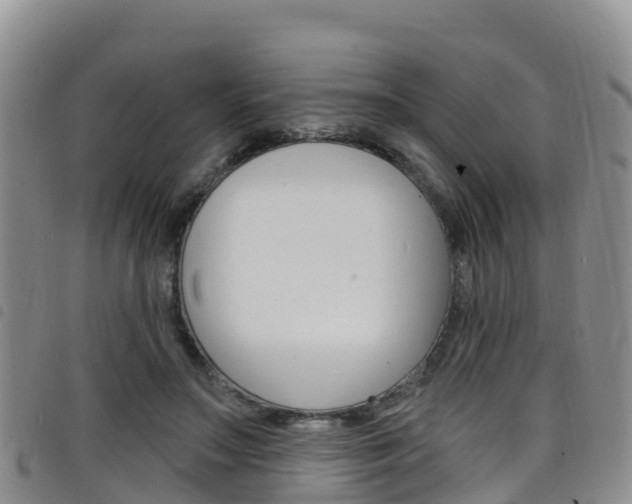 X0000098210499200804241105