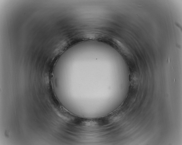 X0000098210500200804241105
