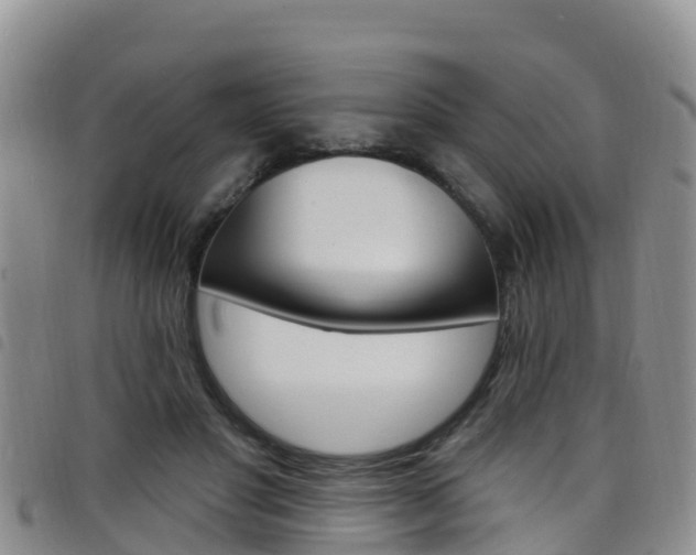 X0000098210501200804241105