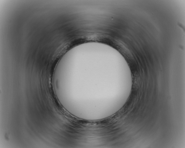 X0000098210502200804241105