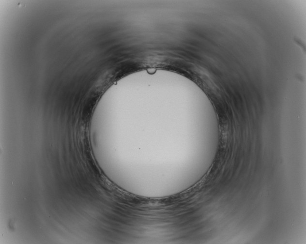 X0000098210503200804241105