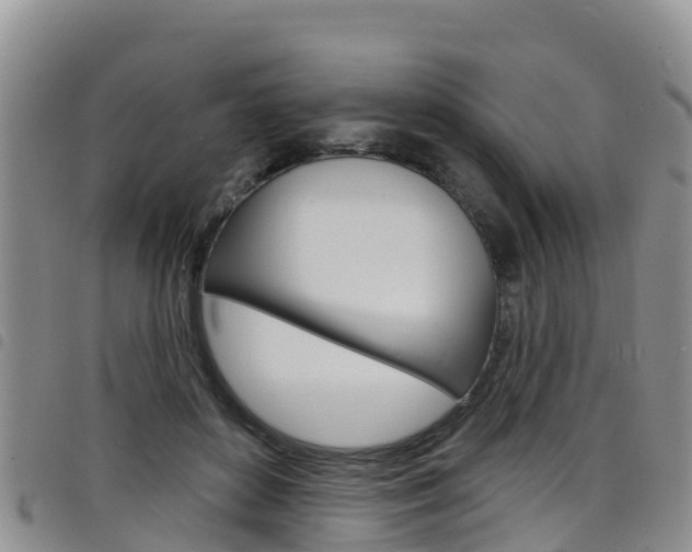 X0000098210504200804241105