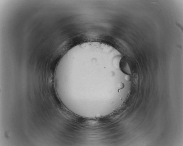 X0000098210507200804241105