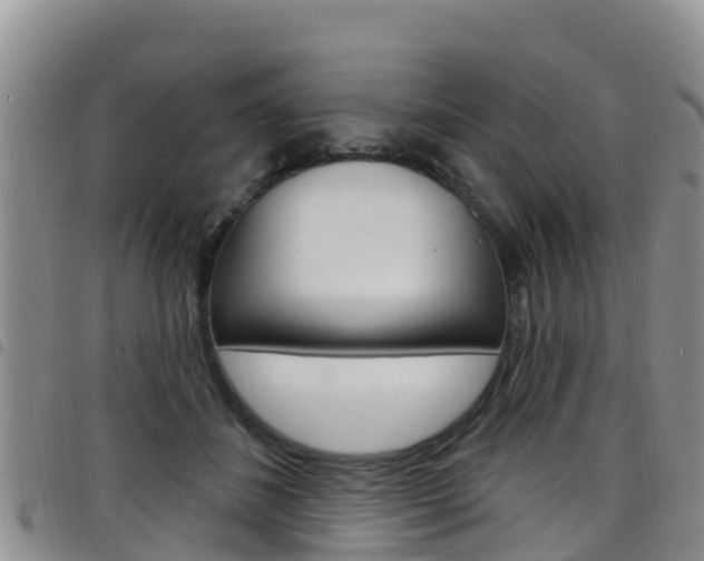 X0000098210508200804241105