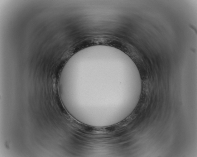 X0000098210510200804241105