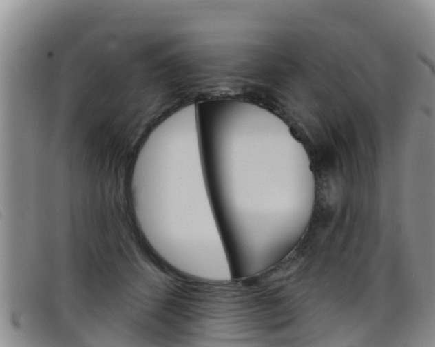 X0000098210512200804241105