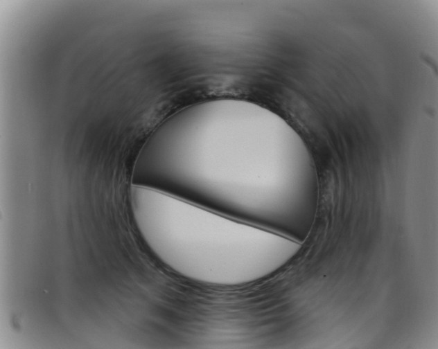 X0000098210513200804241105