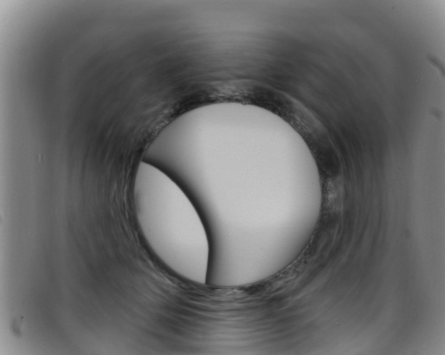 X0000098210514200804241105