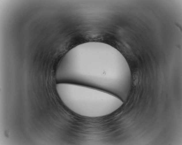 X0000098210515200804241105