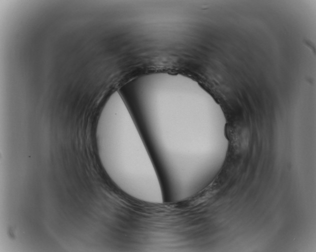 X0000098210516200804241105