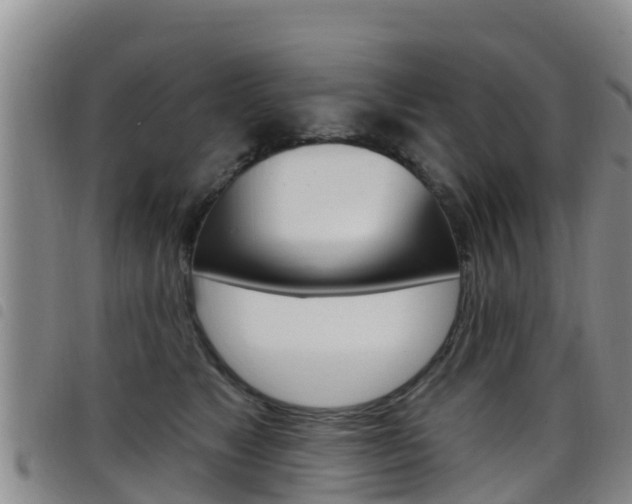 X0000098210517200804241105