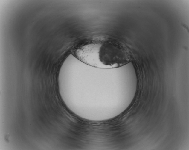 X0000098210519200804241105