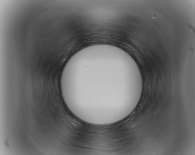 X0000098210520200804241105