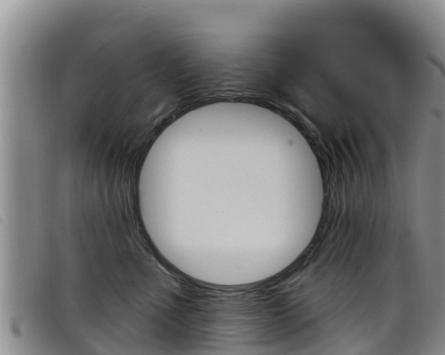 X0000098210523200804241105
