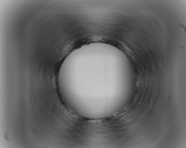 X0000098210524200804241105