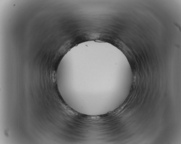 X0000098210525200804241104