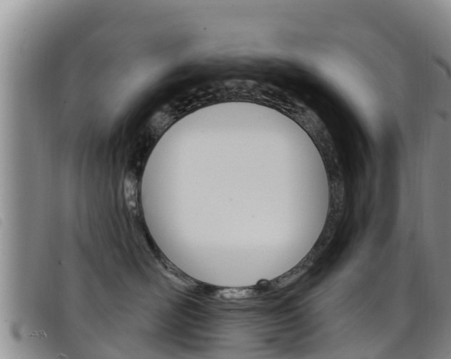 X0000098210526200804241104