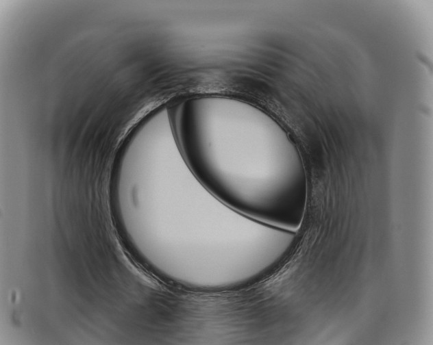 X0000098210530200804241104