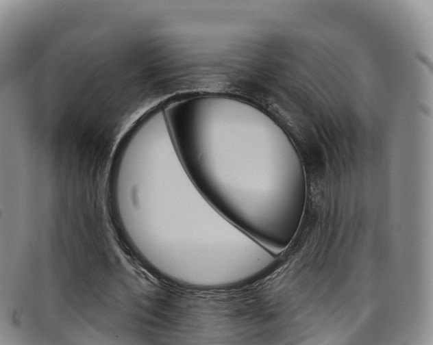 X0000098210532200804241104