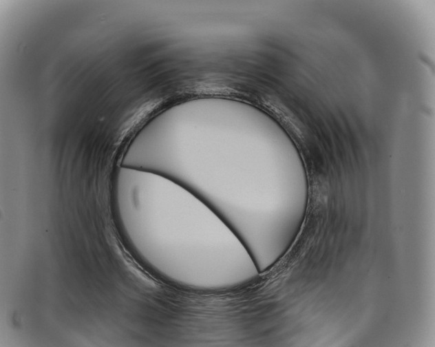X0000098210533200804241104