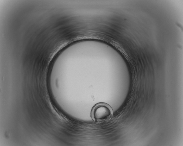 X0000098210534200804241104