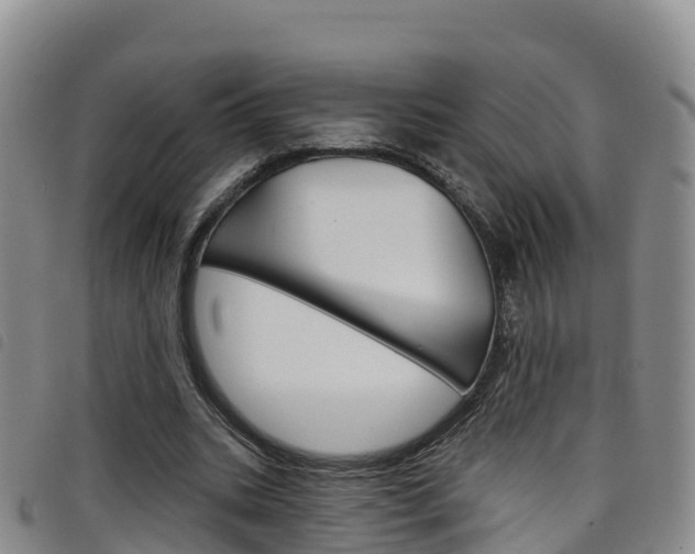 X0000098210535200804241104