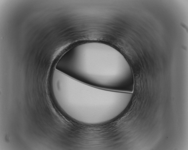 X0000098210536200804241104