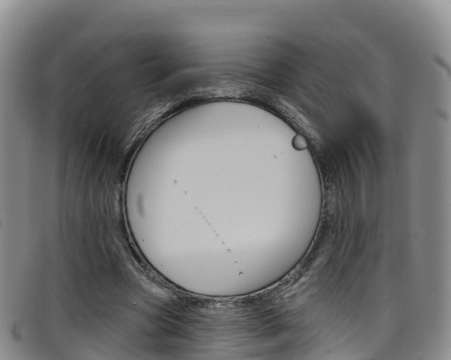 X0000098210537200804241104