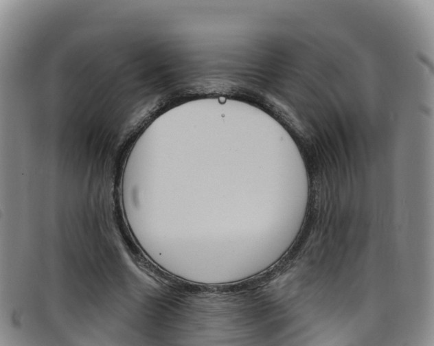 X0000098210538200804241104