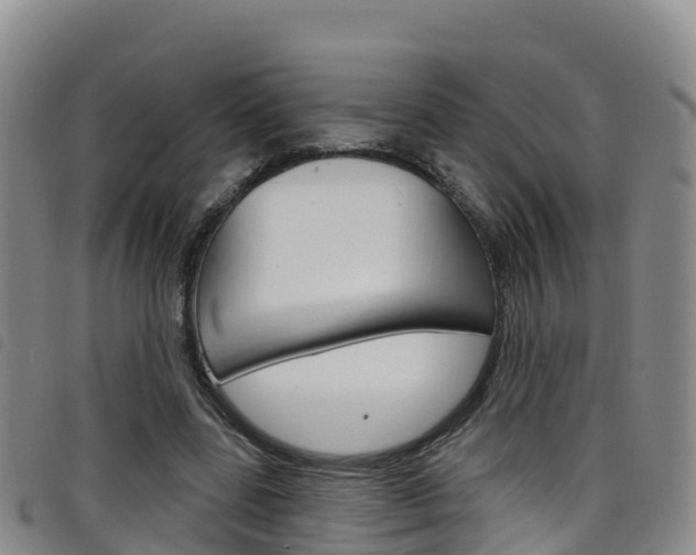 X0000098210539200804241104