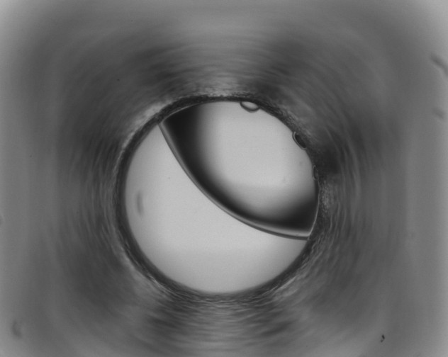 X0000098210540200804241104