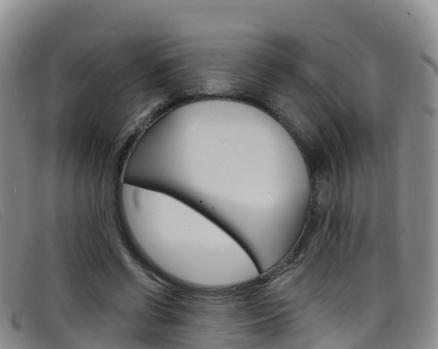 X0000098210542200804241104