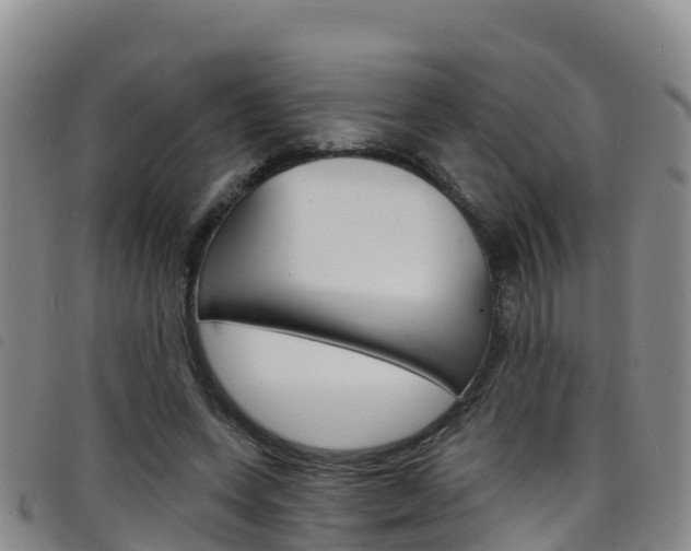 X0000098210543200804241104