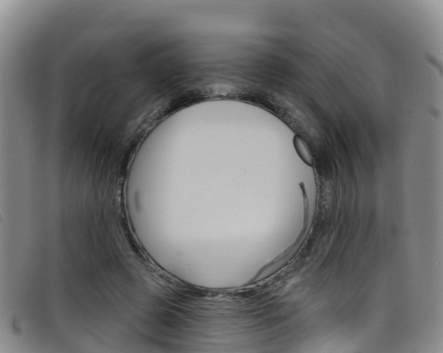 X0000098210545200804241104